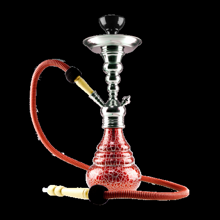 Aladin Roy 5 vandpibe