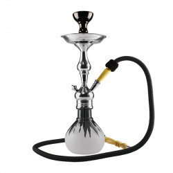 Aladin Roy 6 vandpibe