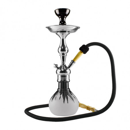 Aladin Roy 6 vandpibe